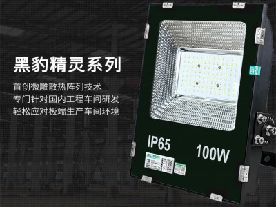 泛光燈、LED泛光燈，泛光燈250瓦